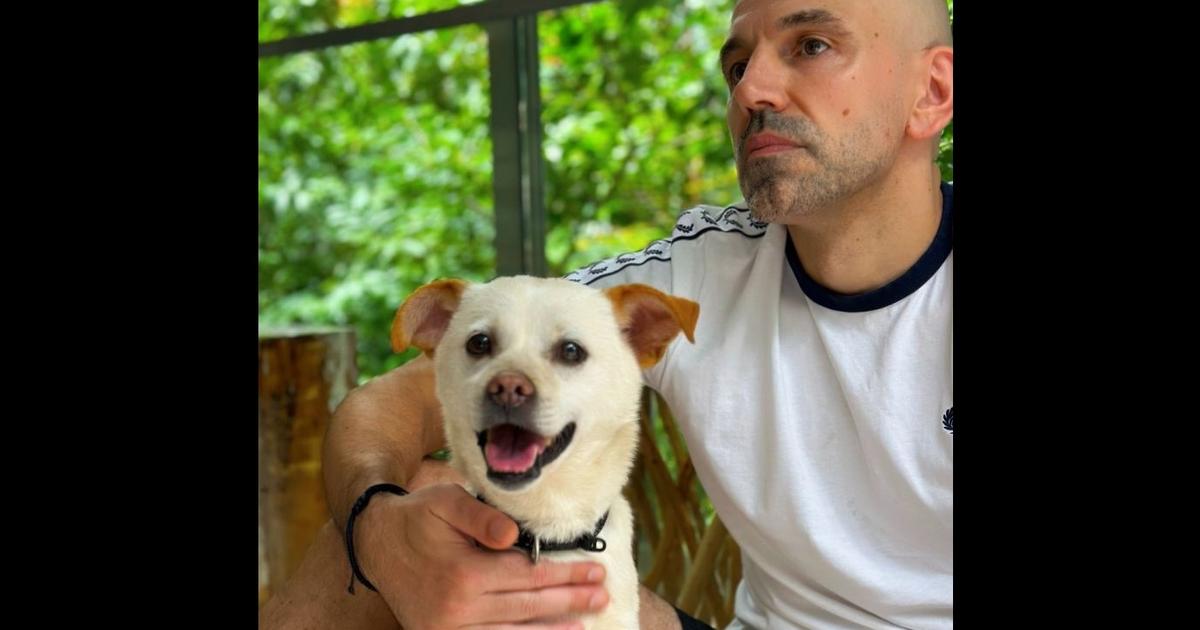 Gordon Domlija, his dog Harvey, and his exit from Wavemaker | Media Gordon Domlija, his dog Harvey, and his exit from Wavemaker | Media
