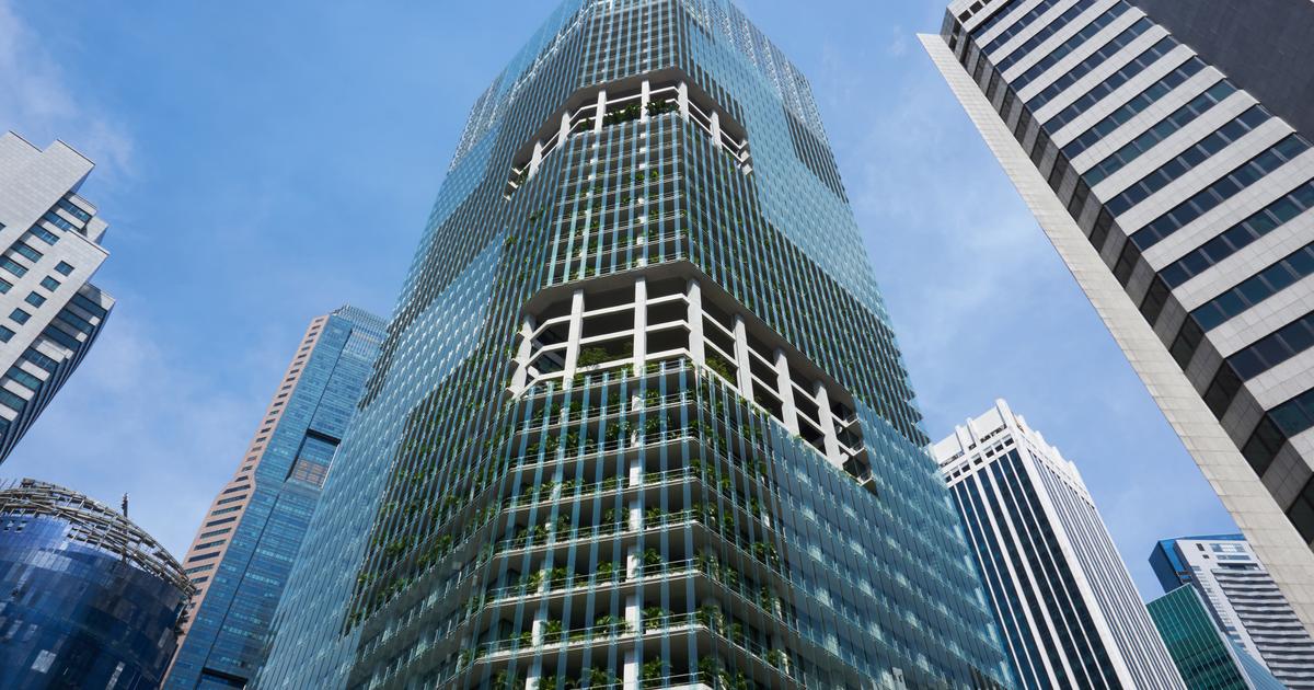 Twitter reassigns Singapore-based employees as remote workers | Digital Twitter reassigns Singapore-based employees as remote workers | Digital