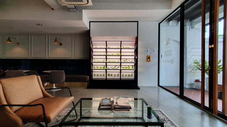 世界地球日 Media Monks新加坡办公室 开垦 小农场实现 沙拉自由 作品 Campaign 中国 世界地球日 Media Monks新加坡办公室 开垦 小农场实现 沙拉自由 作品 Campaign 中国