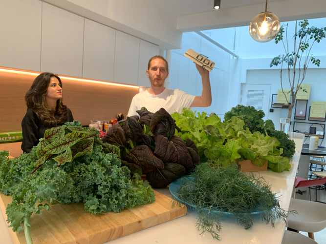 世界地球日 Media Monks新加坡办公室 开垦 小农场实现 沙拉自由 作品 Campaign 中国 世界地球日 Media Monks新加坡办公室 开垦 小农场实现 沙拉自由 作品 Campaign 中国