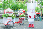 520!这个...