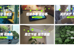 蚂蚁森