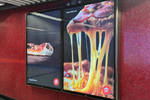 Pizza Hut x iProspect ...