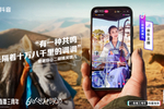 什么是