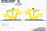 Team 16 Give Kung Fu Wings