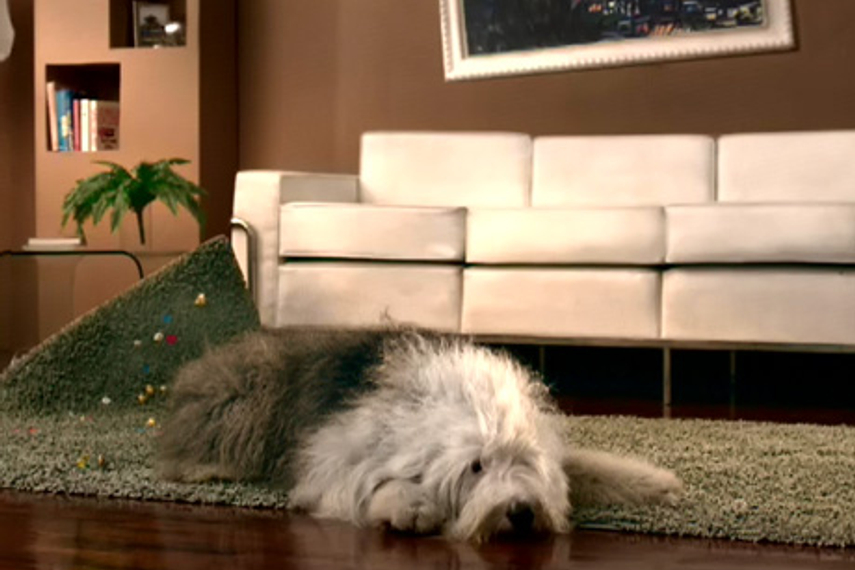 WATCH the TVC creates by Bates India here