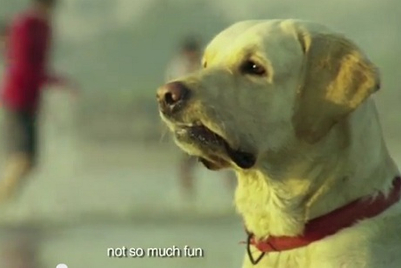 EBAI makes endearing appeal for the blind, through story told through loyal dog’s eyes