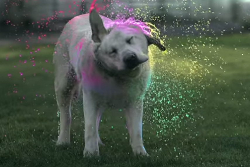 Watch the film conceptualised by Lowe Lintas here