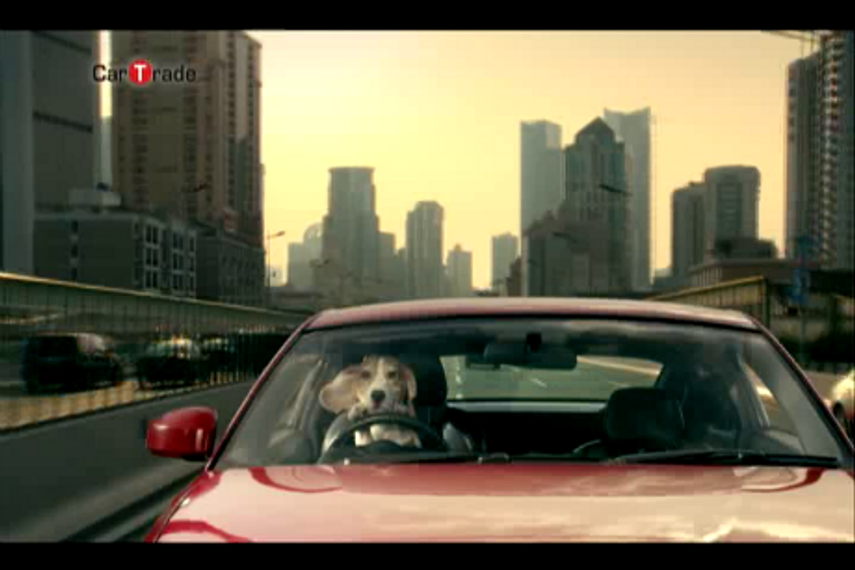 Watch the ad film conceptualised by Madison BMB here