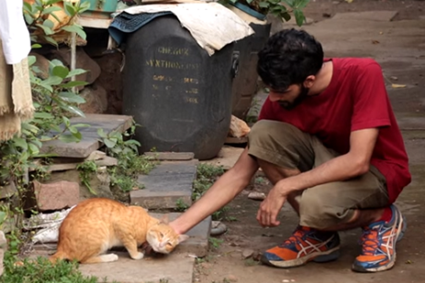 Watch the video of the offline initiative conceptualised by Foxymoron here