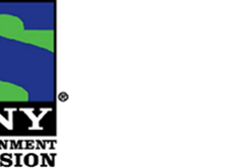 Rajesh Kaul named president for MSM Discovery