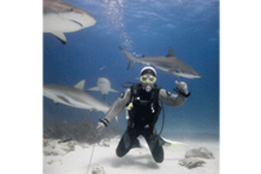 Discovery Travel & Living launches three new series