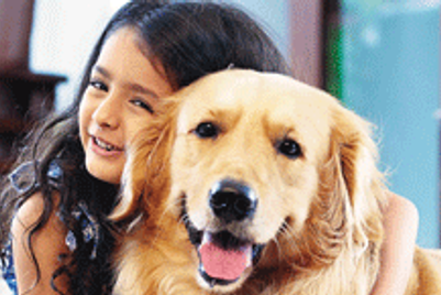 TBWA continues its battle against homecooked food for Pedigree