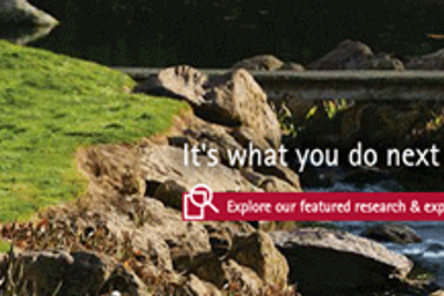 All about the Tiger Woods controversy