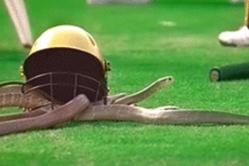 Colors launches marketing campaign for IPL 'cricketainment'