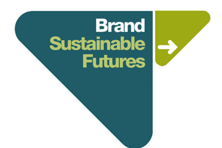 BSF report: Indians most environmentally and socially conscious