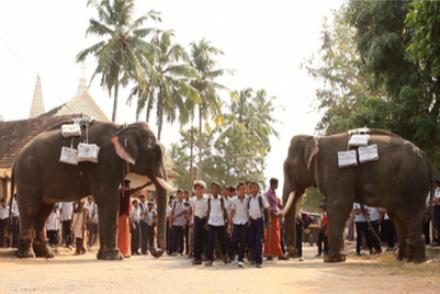 Elephants, boatmen and kalari warriors deliver TOI newspapers in Kerala
