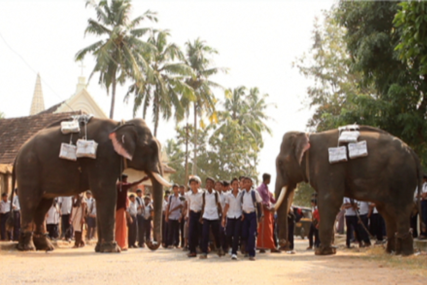 Elephants, boatmen and kalari warriors deliver TOI newspapers in Kerala