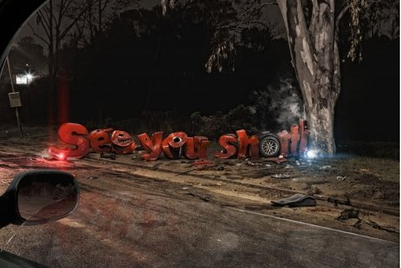 Ad pic of the week: 'Don't text and drive, Tree' for Vodacom