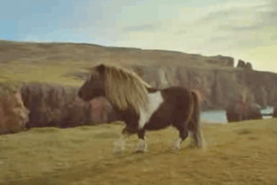 MMGB: Three gets a pony to moonwalk for 'internetting'