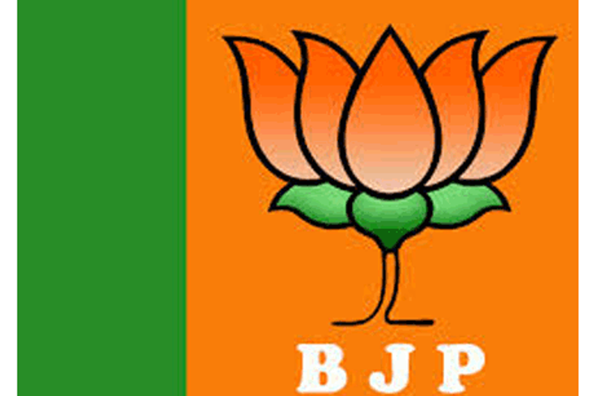 Madison Media to handle BJP's media duties for elections '14