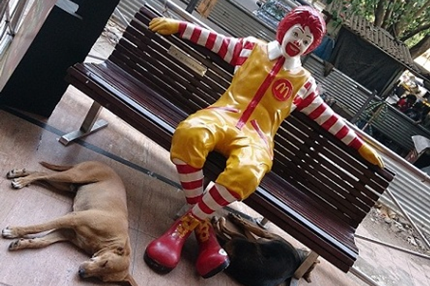 Campaign India Photo Caption Contest 2014: Write, win (1)
