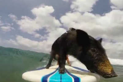 MMGB: GoPro films Kama's surfing adventures