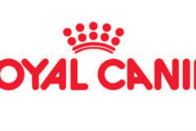 Rapp India bags Royal Canin's digital mandate