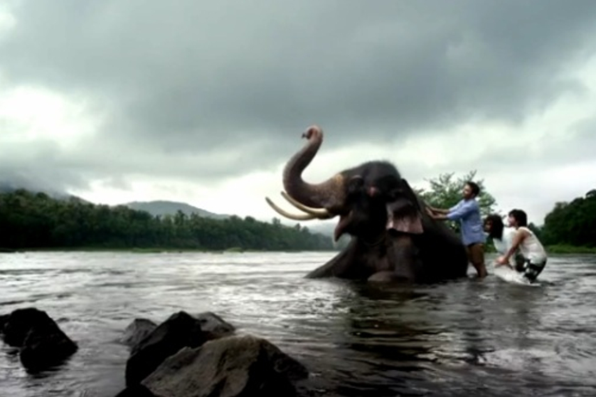 Campaign India The Work 2015: Top 100 (3/4)