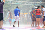 Goafest 2013: Images from ...
