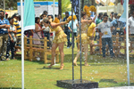 Goafest 2013: Images from ...