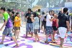 Goafest 2013: Images from ...