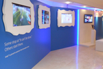 Cannes Lions 2014: Picture ...