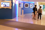 Cannes Lions 2014: Picture ...