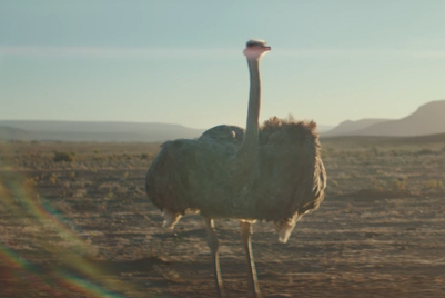 MMGB: Samsung #DoWhatYouCant