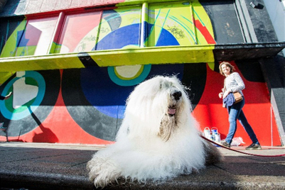 Dulux owner AkzoNobel appoints MediaCom to global account