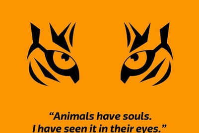 Unmetric Engagement Meter: Instagram top 10 (21-31 July)