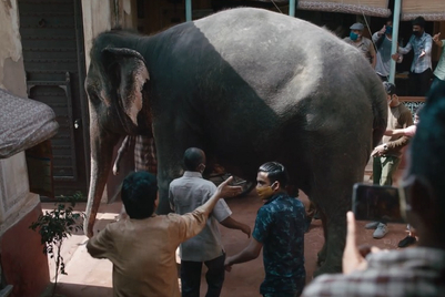Fogg takes on Covid, addresses the ‘elephant in the room’
