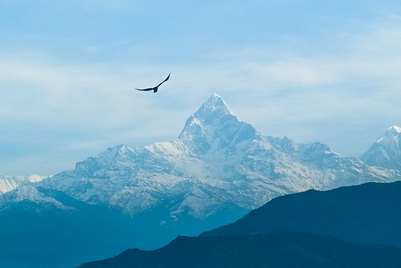 A view from Nepal: Two years of clean feed in Nepal - an opening for Nepalisation