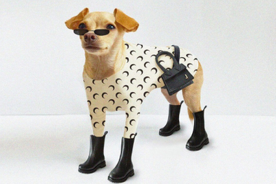 Furry and fabulous: Why brands shouldn't overlook pet influencers