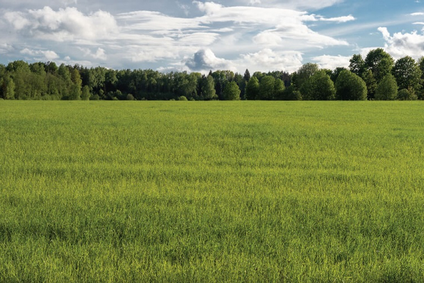 Purva Land (image courtesy: purvaland.com)