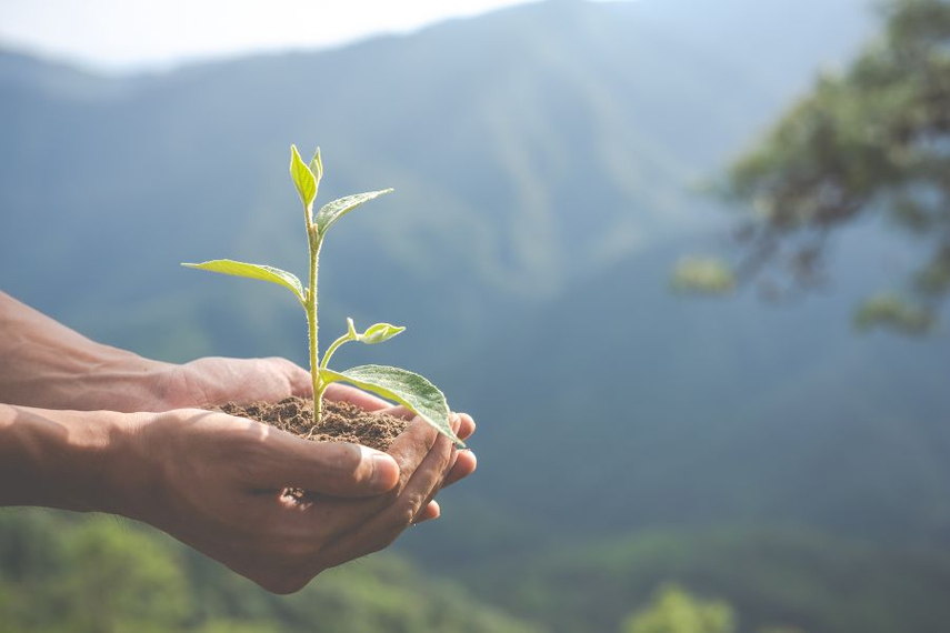 Companies should share real data, not green fluff, to back up their eco-claims. Image source: Freepik.