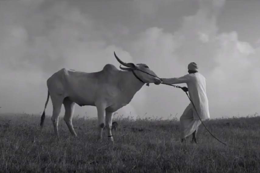 Watch the film conceptualised by Publicis Groupe, Dubai, here