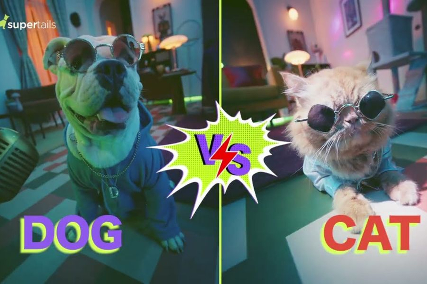 The highlight of this campaign is a brand film featuring a rap battle between a dog and cat, which Supertails’ in-house team created in association with Green Chutney Films.