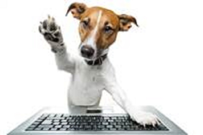 A CNY resolution for agencies: Be more like dogs