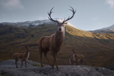 Glenfiddich asks 'where next' with story of stag in global campaign