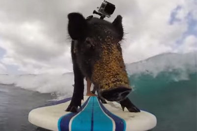 Red Bull buys equity in GoPro amid global content deal