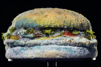 Blog: Burger King’s mouldy burger - gimmick or genius?