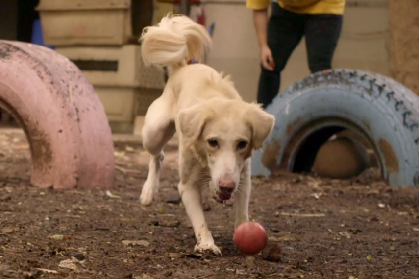 Watch the film conceptualised by Another Idea here