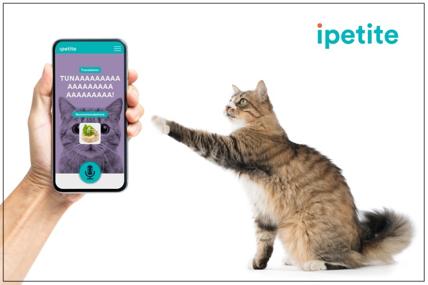 iPetite, an app for your pets to communicate their favourite foods